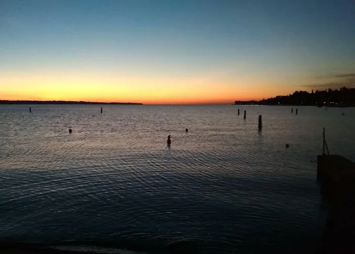 Portobello
