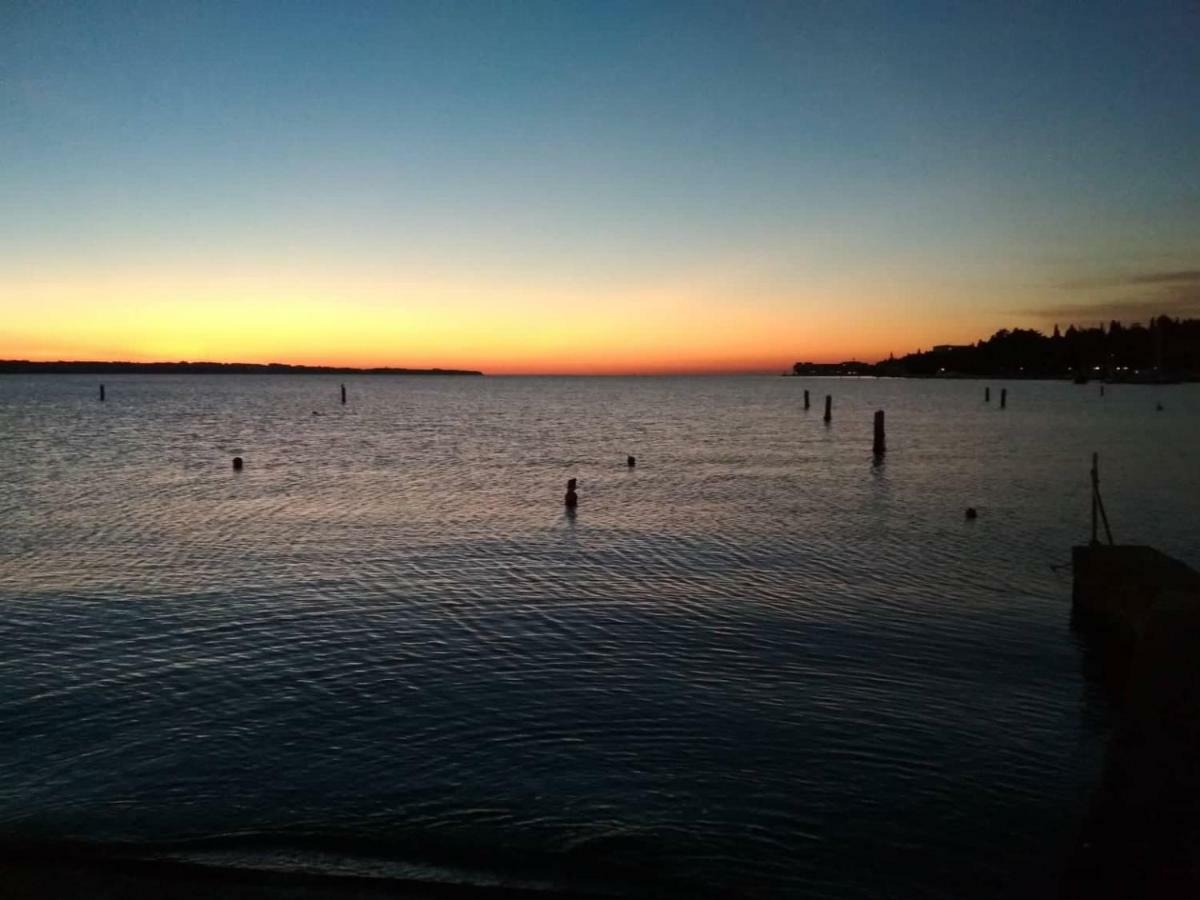 Portobello *